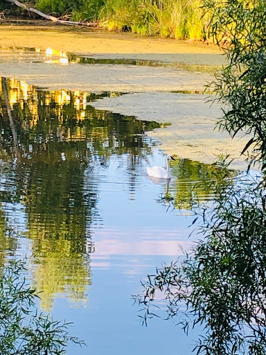 Insurance Agency «Ben Just - State Farm Insurance Agent», reviews and photos