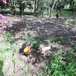 Photo n°8 de l'avis de Seraphina.i fait le 08/04/2023 à 20:53 sur le  Maria Dentada do Jardim Botânico à Porto