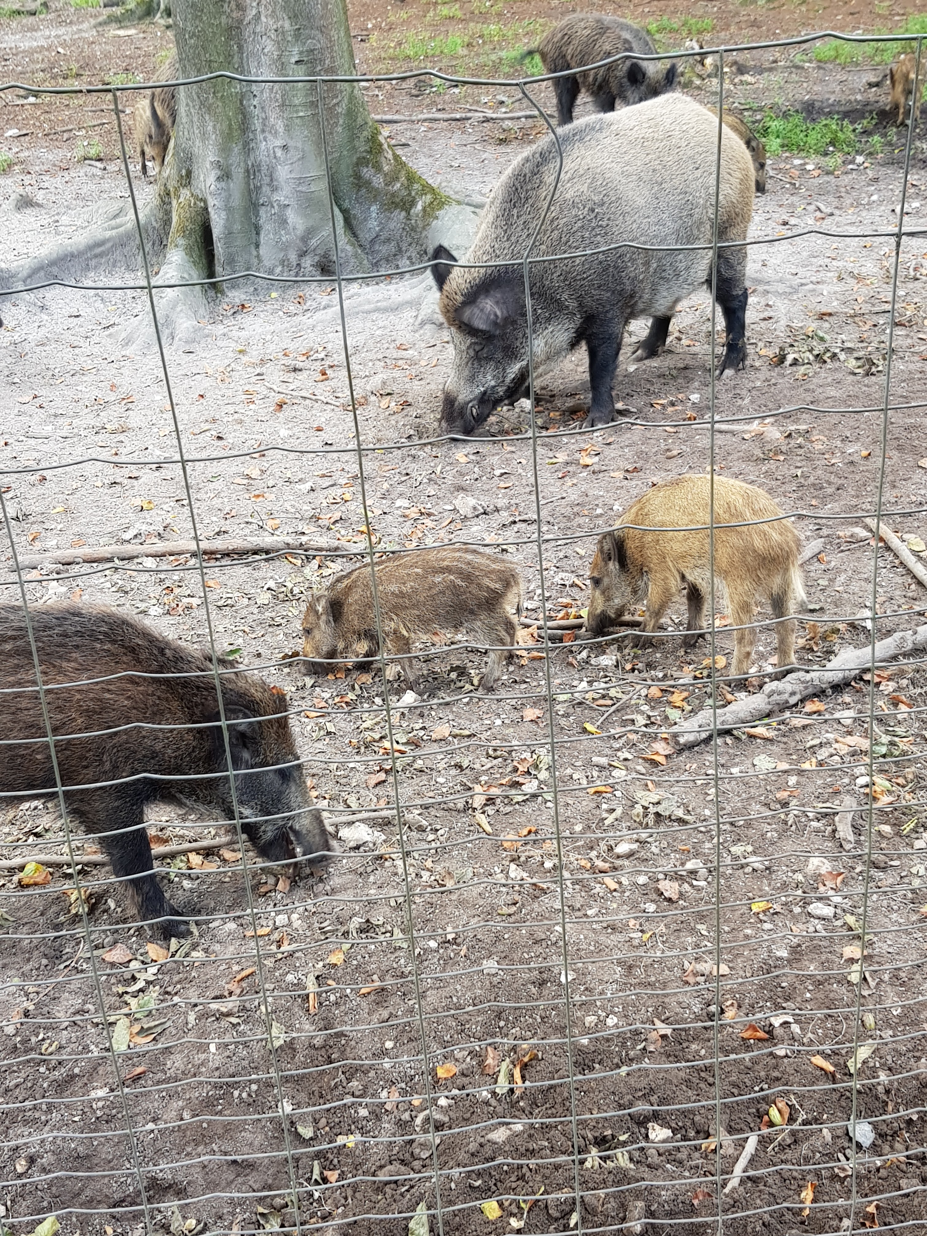 Photo n° 1 de l'avis de Martine.R fait le 21/08/2018 à 17:38