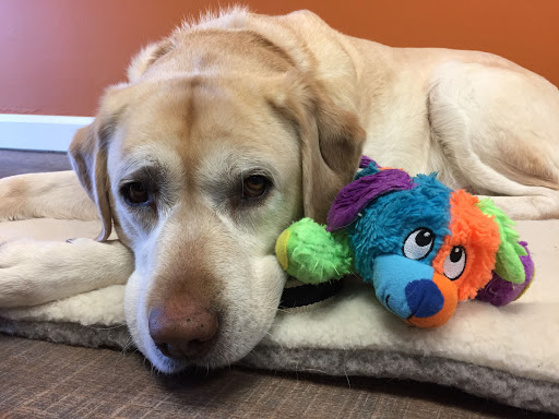 Outdoor Sports Store «Firestorm Gear», reviews and photos, 799 N Court St #6, Medina, OH 44256, USA