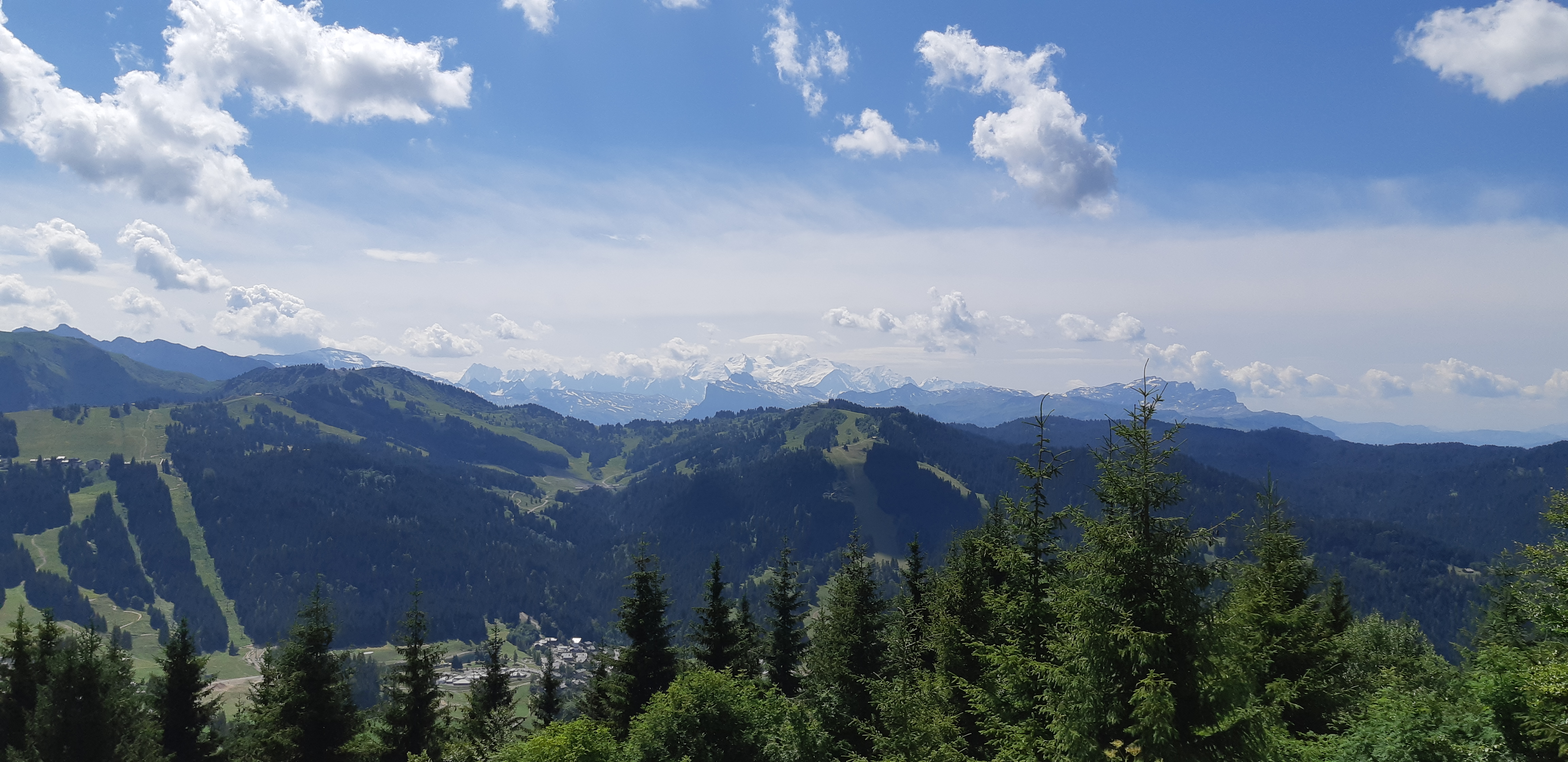 Photo n° 12 de l'avis de Joelle.e fait le 20/07/2018 à 19:26
