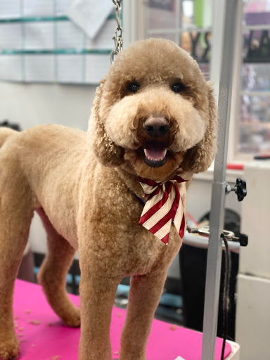 Pet Store «Canine Carousel», reviews and photos, 43135 Broadlands Center Plaza #129, Ashburn, VA 20148, USA