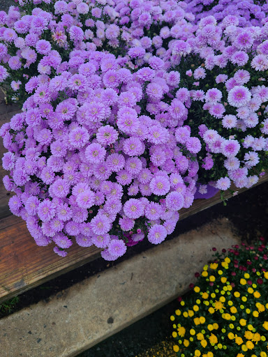 Home Improvement Store «The Home Depot», reviews and photos, 200 South Ave, Garwood, NJ 07027, USA