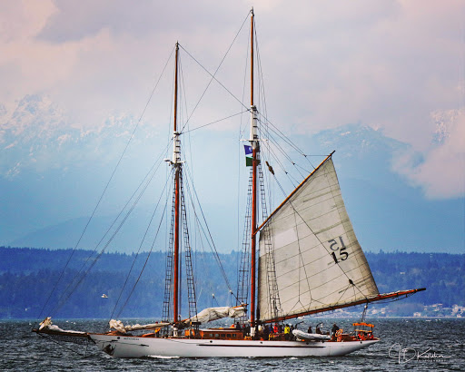 Park «Golden Gardens Park», reviews and photos, 8498 Seaview Pl NW, Seattle, WA 98117, USA