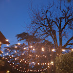 Photo n°14 de l'avis de Sìmo.e fait le 08/02/2020 à 21:11 sur le  La Cascina Fiorita à San Pantaleone