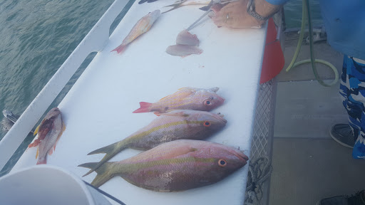 Fishing Charter «Good Time Charter Fishing», reviews and photos, 1111 Love St, Jupiter, FL 33477, USA