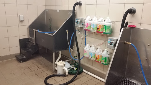 Pet Supply Store «Pet Supplies Plus», reviews and photos, 4110 Hunt Rd, Blue Ash, OH 45236, USA