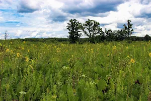 Kettle Moraine Low Prairie State Natural Area image