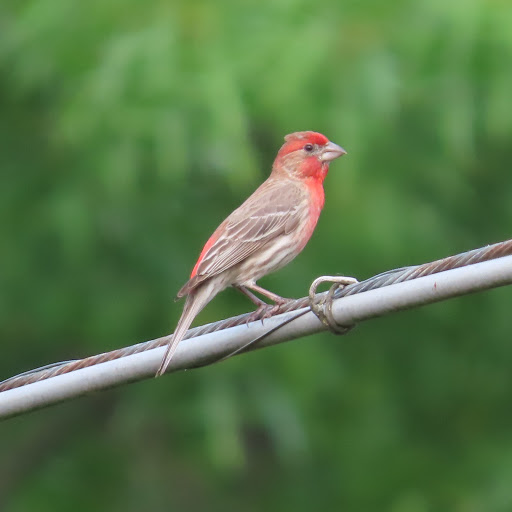 Park «Joe Creason Park», reviews and photos, 1297 Trevilian Way, Louisville, KY 40213, USA