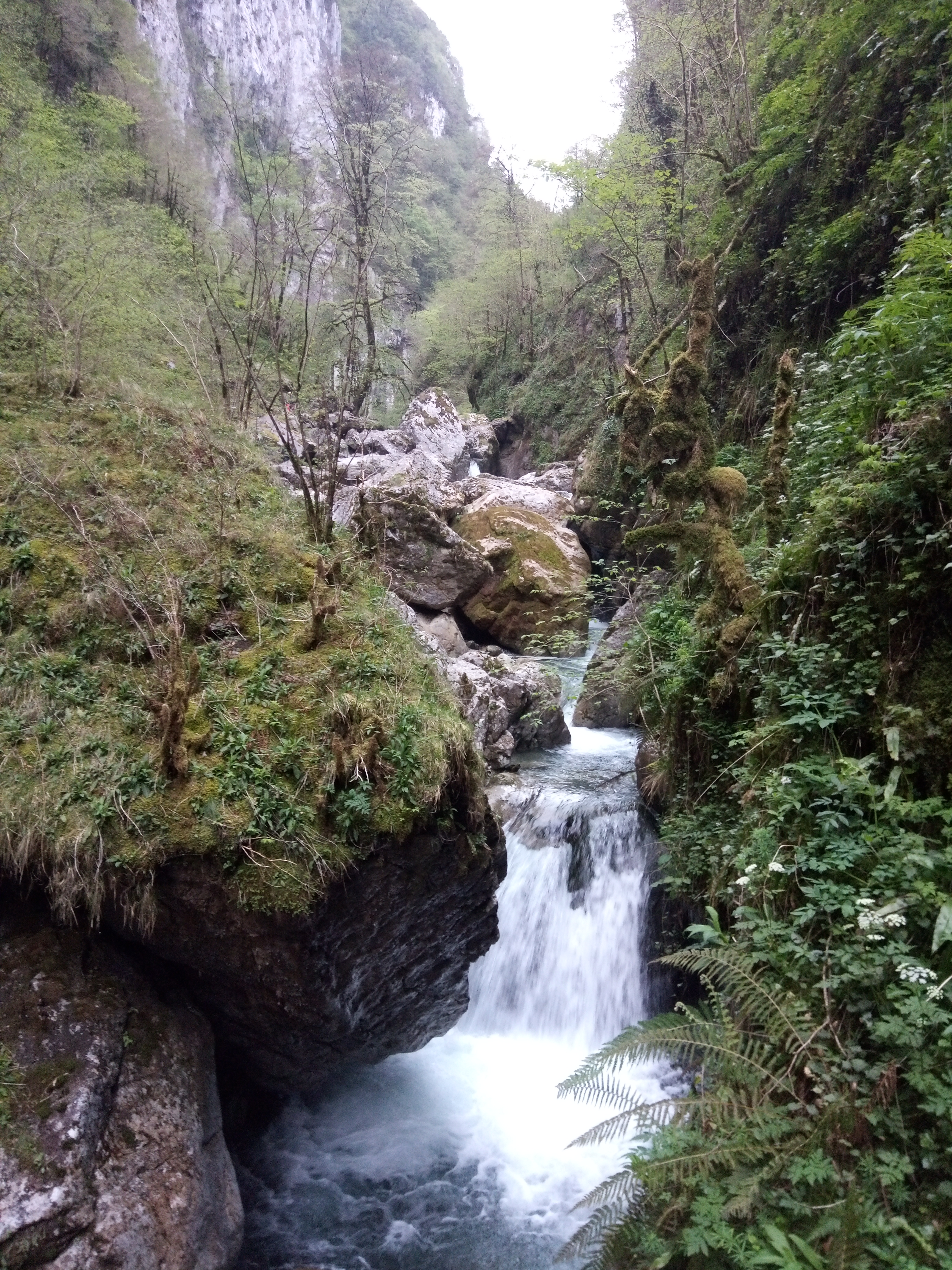 Photo n° 4 de l'avis de LEMARCHAND.a fait le 20/04/2019 à 16:54