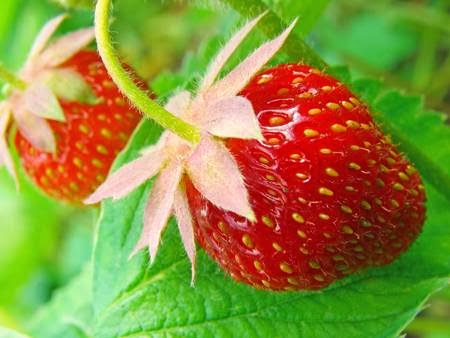 Grocery Store «Metropolitan Market Sand Point», reviews and photos, 5250 40th Ave NE, Seattle, WA 98105, USA