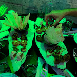 Photo n°9 de l'avis de Wendy.e fait le 18/05/2021 à 20:44 sur le  Kubla Khan Roma à Rome