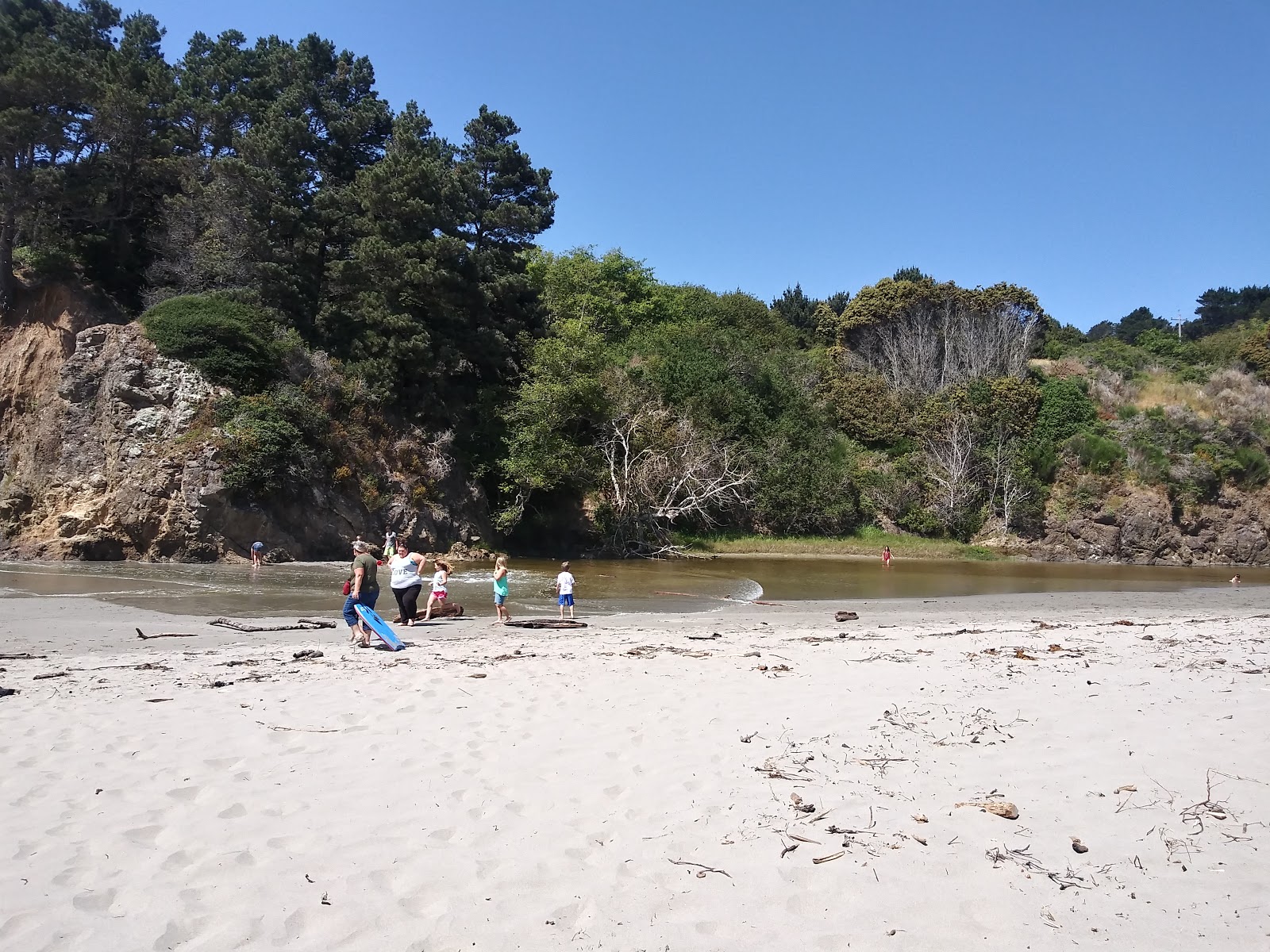 Foto av Jug Handle Beach och bosättningen