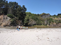 Jug Handle Beach'in fotoğrafı ve yerleşim