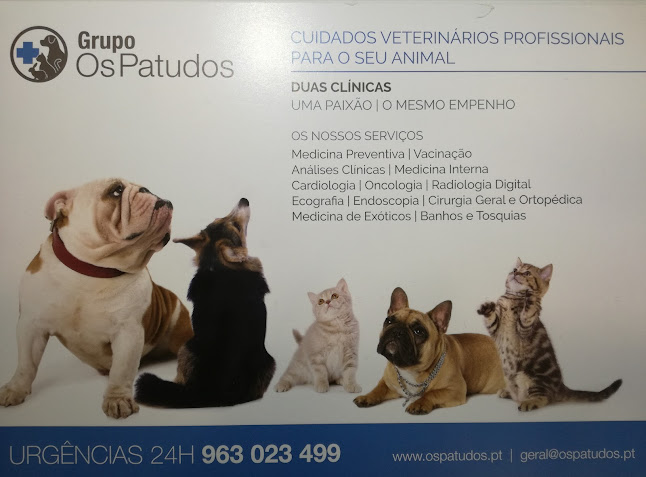 Pet Clinic - Odivelas