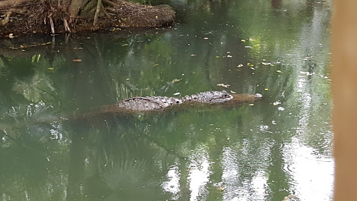 Zoo «Palm Beach Zoo & Conservation Society», reviews and photos, 1301 Summit Blvd, West Palm Beach, FL 33405, USA