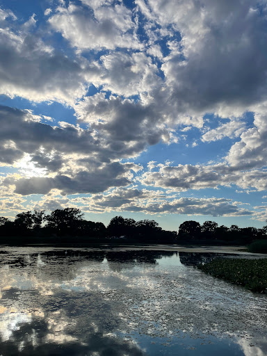 Park «Baisley Pond Park», reviews and photos, Baisley Blvd, Jamaica, NY 11434, USA