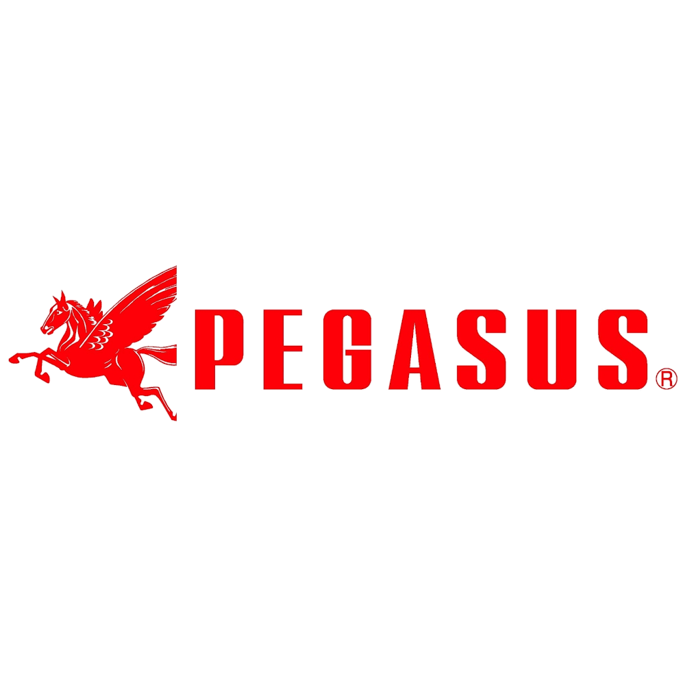 PEGASUS SEWING MACHINE PTE LTD