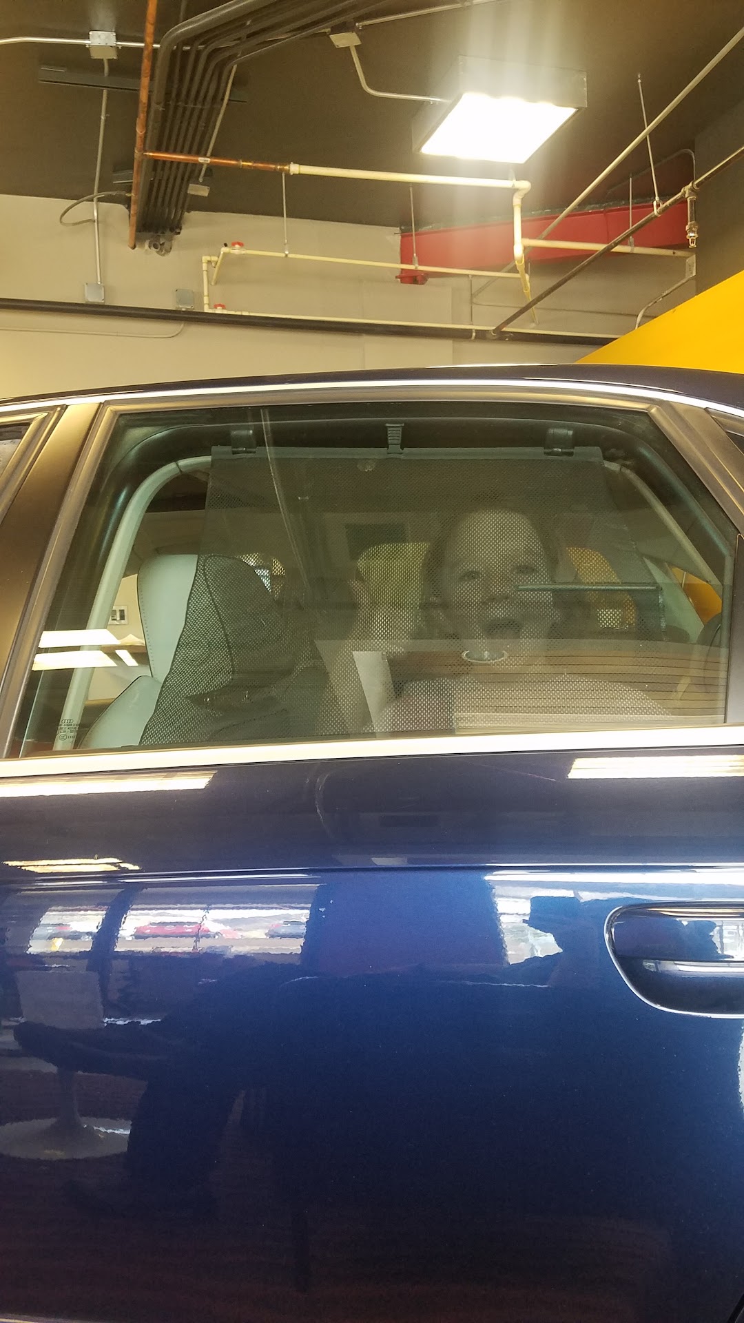 The Import Warehouse