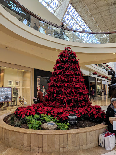 Shopping Mall «The Shops at Chestnut Hill», reviews and photos, 199 Boylston St, Chestnut Hill, MA 02467, USA