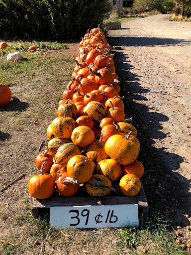 Florist «Greengable Gardens», reviews and photos, 24689 Grange Hall Rd, Philomath, OR 97370, USA