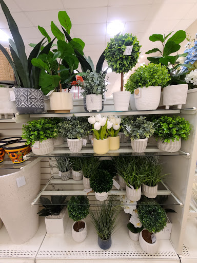 Department Store «HomeGoods», reviews and photos, 9023 Columbus Pike, Lewis Center, OH 43035, USA