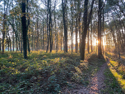 Aire de Cellier à Le Cellier