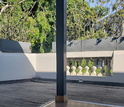 Green Yoga Juárez / Roma photo