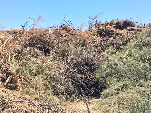 Tempe Solid Waste Compost Yard