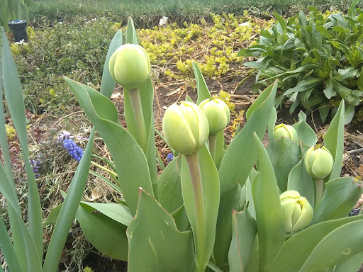 Bicycle Store «Bikes Together», reviews and photos, 2825 Fairfax St, Denver, CO 80207, USA