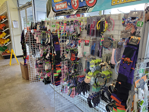 Dollar Store «Dollar Tree», reviews and photos, 11150 Research Blvd, Austin, TX 78759, USA