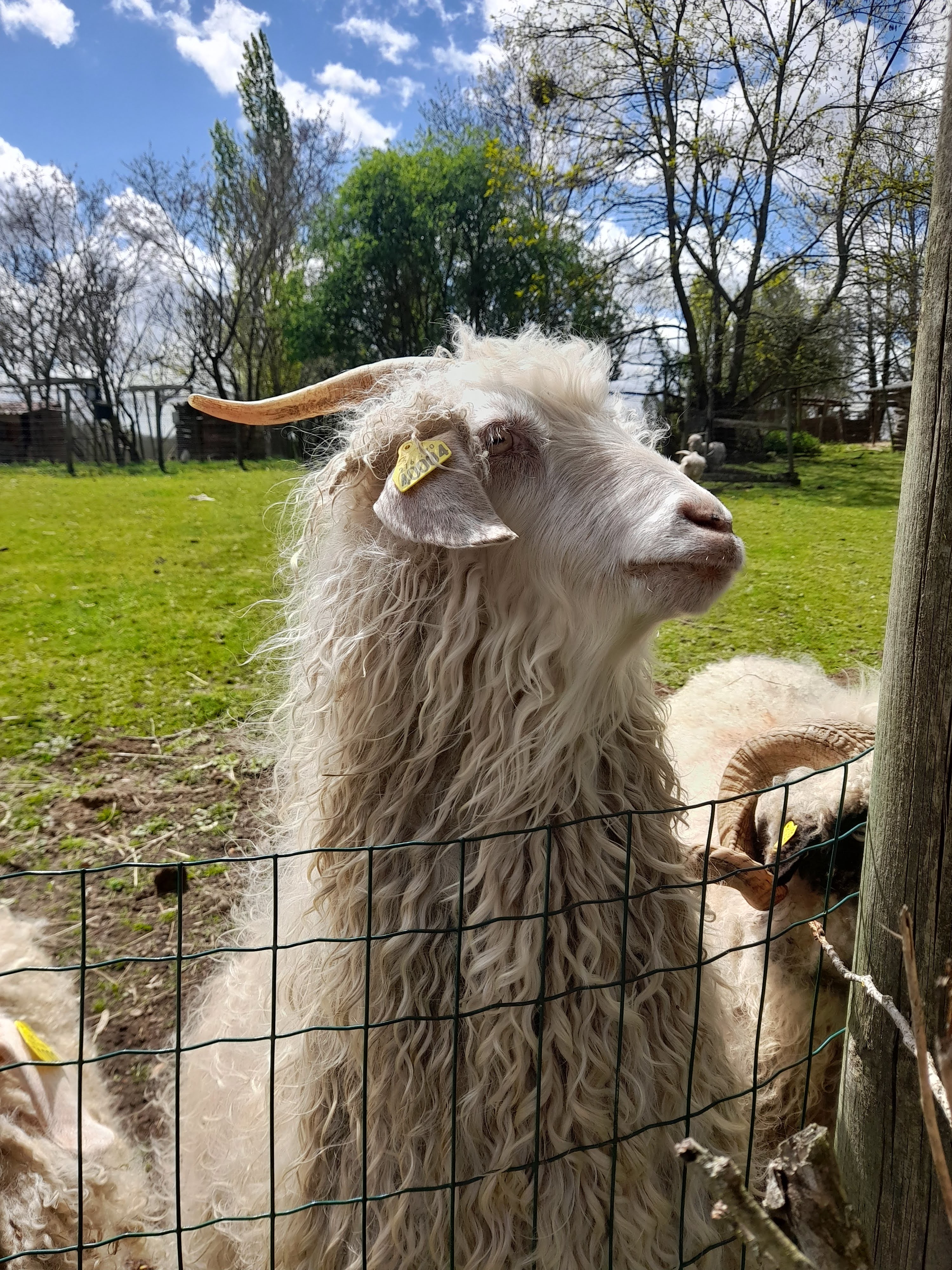 Photo n° 4 de l'avis de Pascale.h fait le 23/04/2023 à 15:29