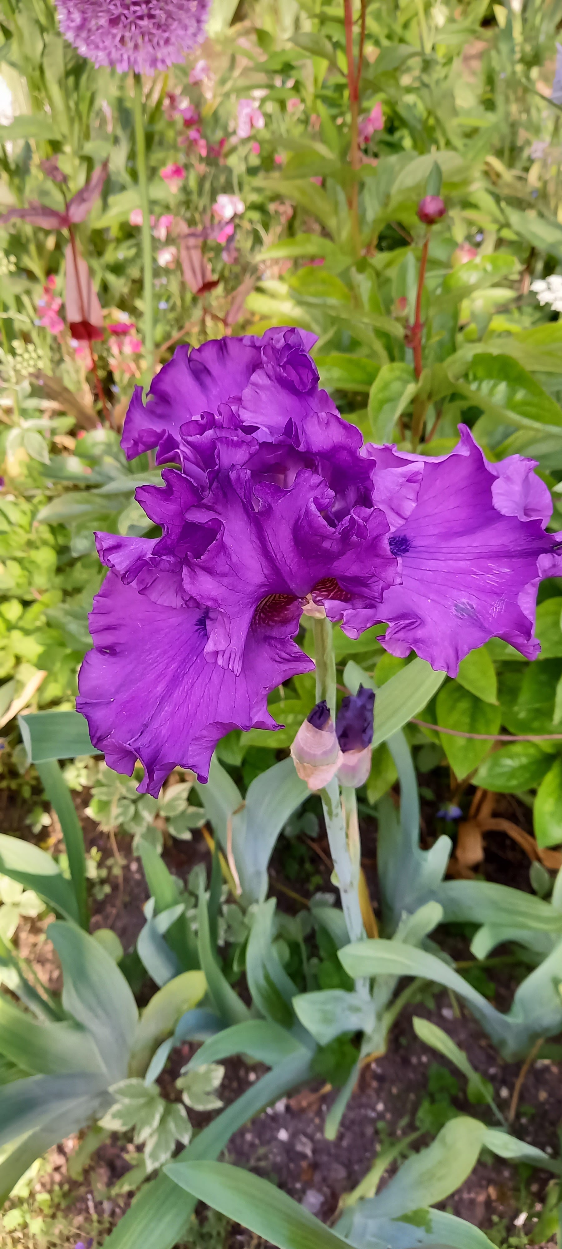 Photo n° 5 de l'avis de Gweyvan.r fait le 21/05/2023 à 19:47