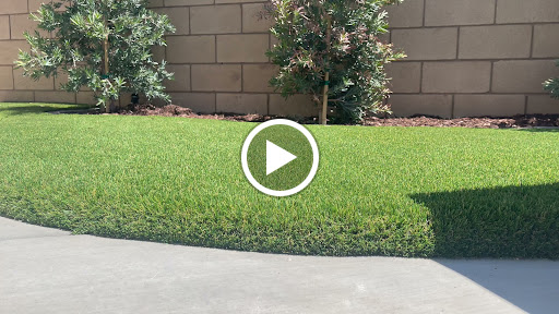 SoCal Synthetic Lawns and Putting Greens Inc. image