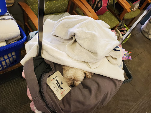 Dry Cleaner «Canyon View Cleaners», reviews and photos, 717 9400 S, Sandy, UT 84094, USA