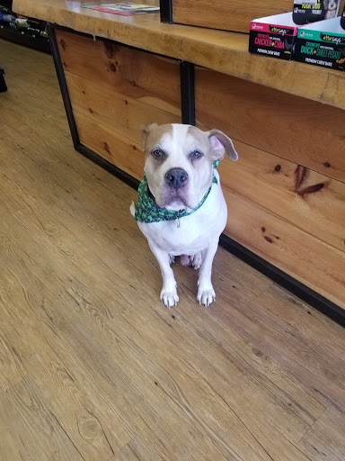 Pet Supply Store «EarthWise Pet Voorhees», reviews and photos, 154 NJ-73, Voorhees Township, NJ 08043, USA