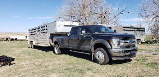 Ford Dealer «Jarrett-Gordon Ford Winter Haven», reviews and photos, 3015 Lake Alfred Rd, Winter Haven, FL 33881, USA