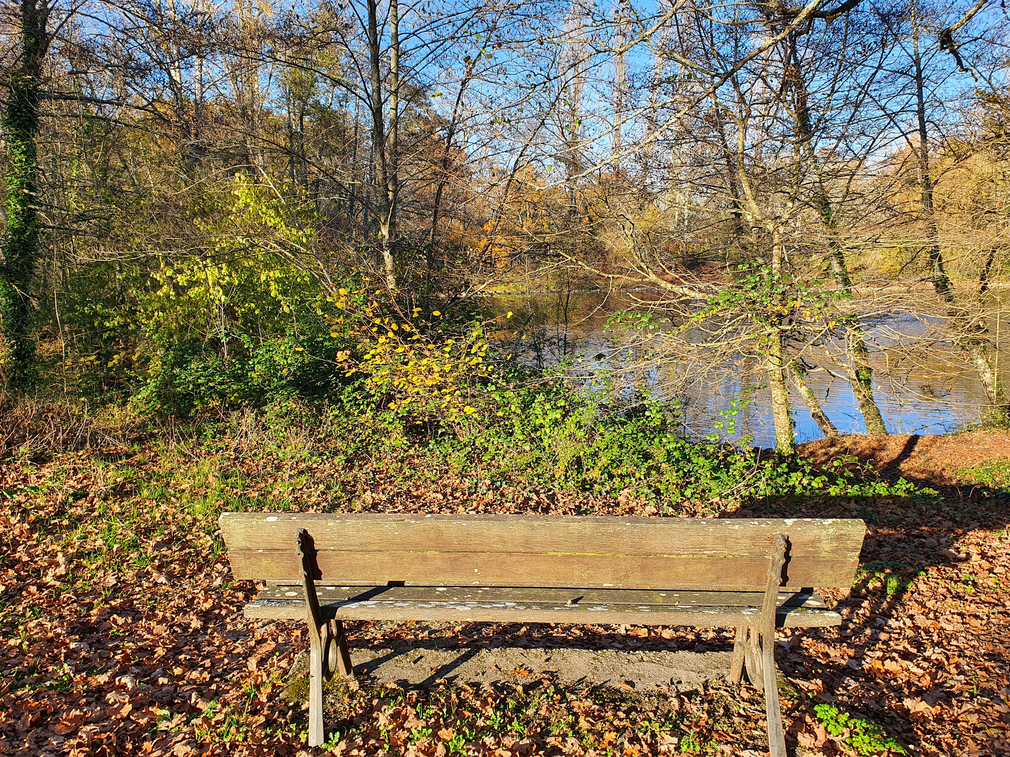 Photo n° 3 de l'avis de Irène.. fait le 29/11/2020 à 15:28