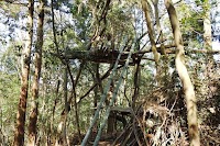 森の空想ミュージアム