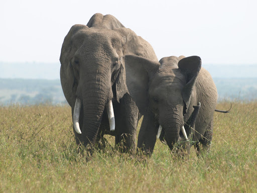 Travel Agency «Travel Beyond - Travel Agency», reviews and photos, 106 Broadway Ave S, Wayzata, MN 55391, USA