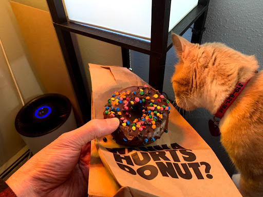 Donut Shop «Hurts Donut Co.», reviews and photos, 1301 5th St #105, Coralville, IA 52241, USA