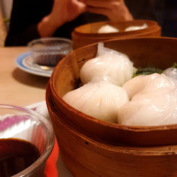 Photo n°52 de La Muraille d'Or à Toulouse ()