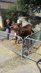 Photo n°44 de Le Croquant à Fanlac ()