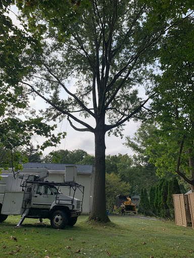 Auto Parts Store «NAPA Auto Parts - Speed Equipment Corp», reviews and photos, 2535 Street Rd, Bensalem, PA 19020, USA