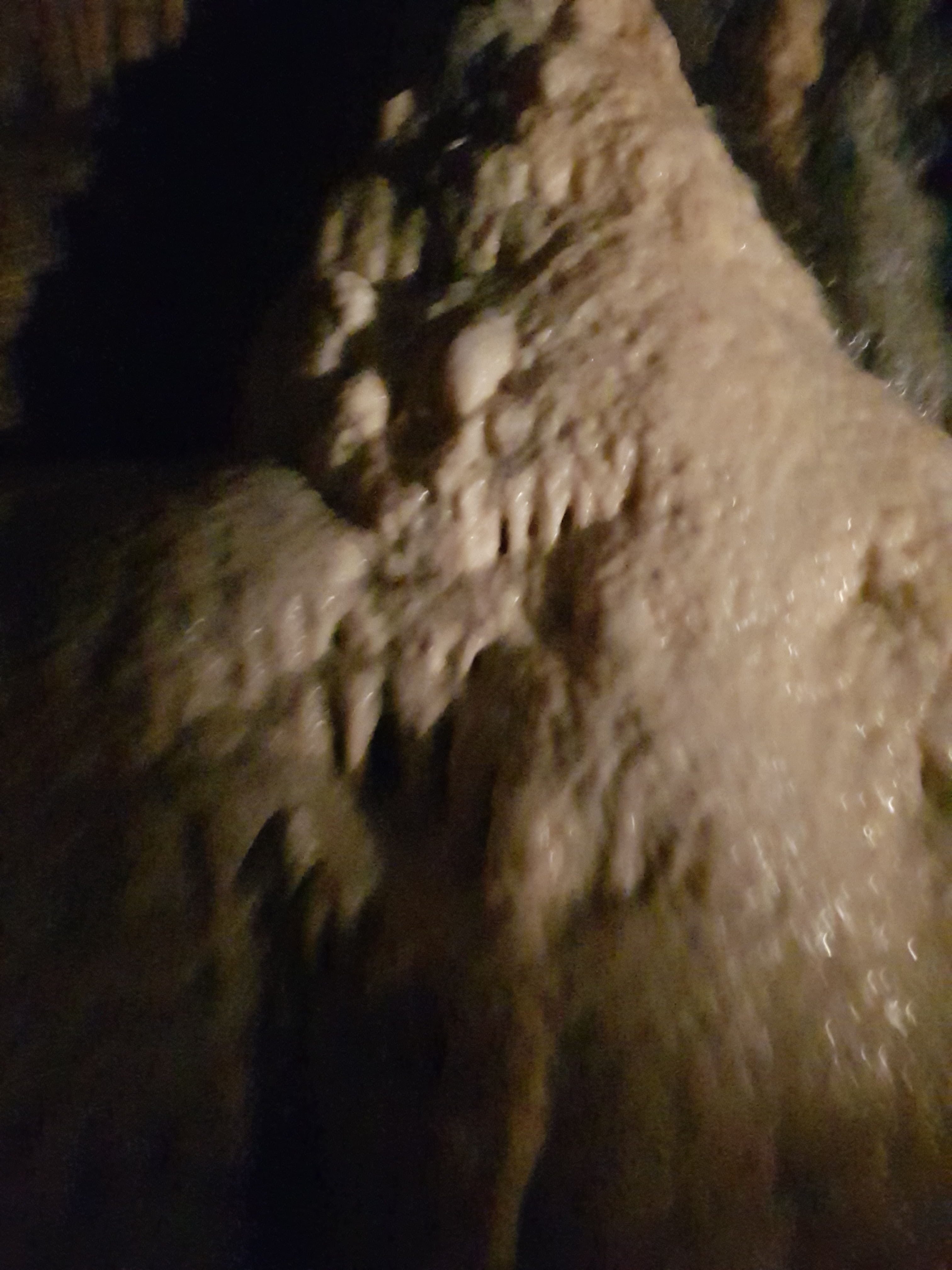 Photo n° 26 de l'avis de Jan.o fait le 05/06/2019 à 17:42