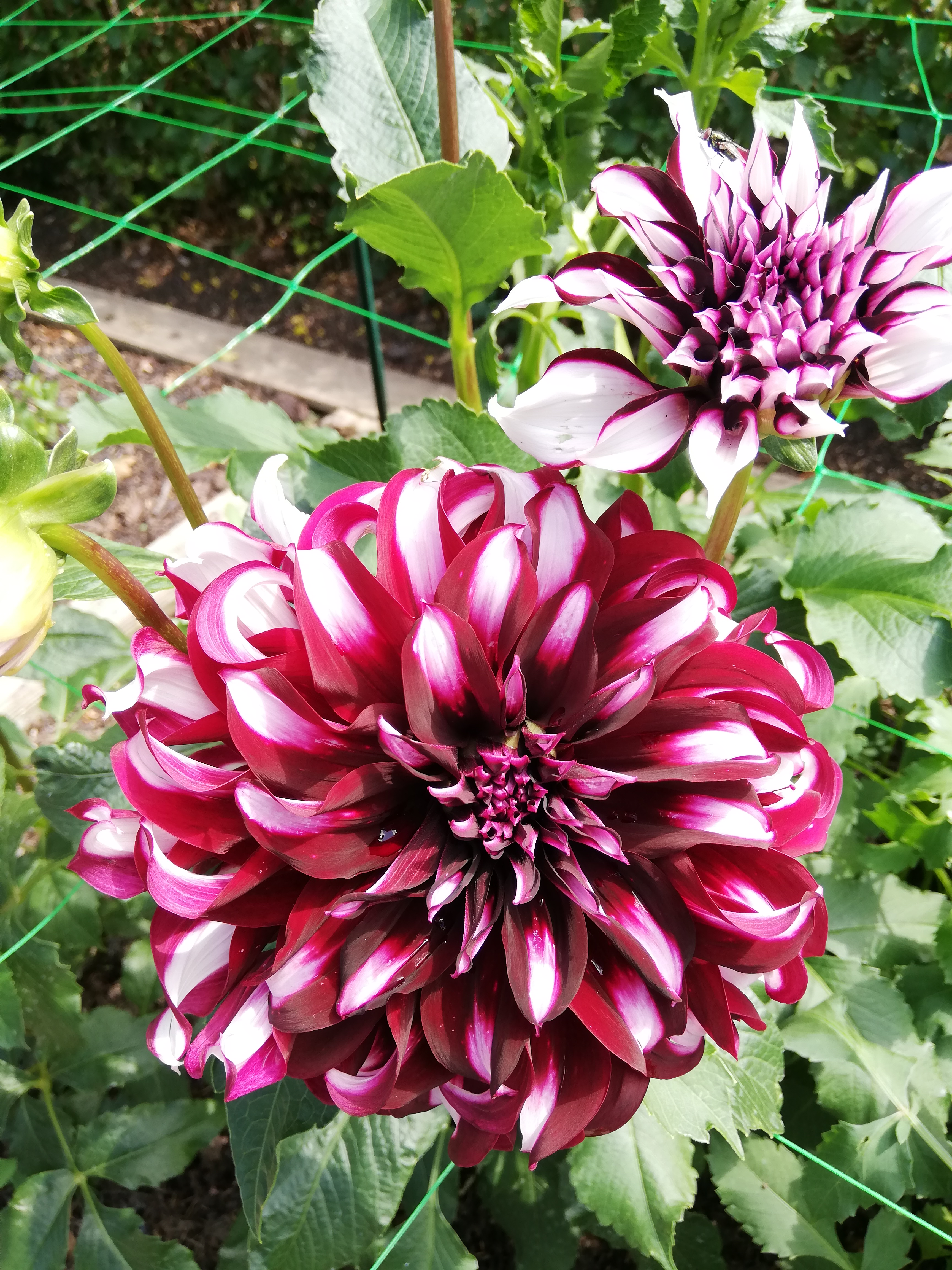 Photo n° 6 de l'avis de Samia.e fait le 16/08/2020 à 16:39