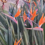 Photo n°13 de l'avis de Schneider.e fait le 16/05/2023 à 14:58 sur le  Hotel Porto Conte (Hotel Port del Comte) à Maristella