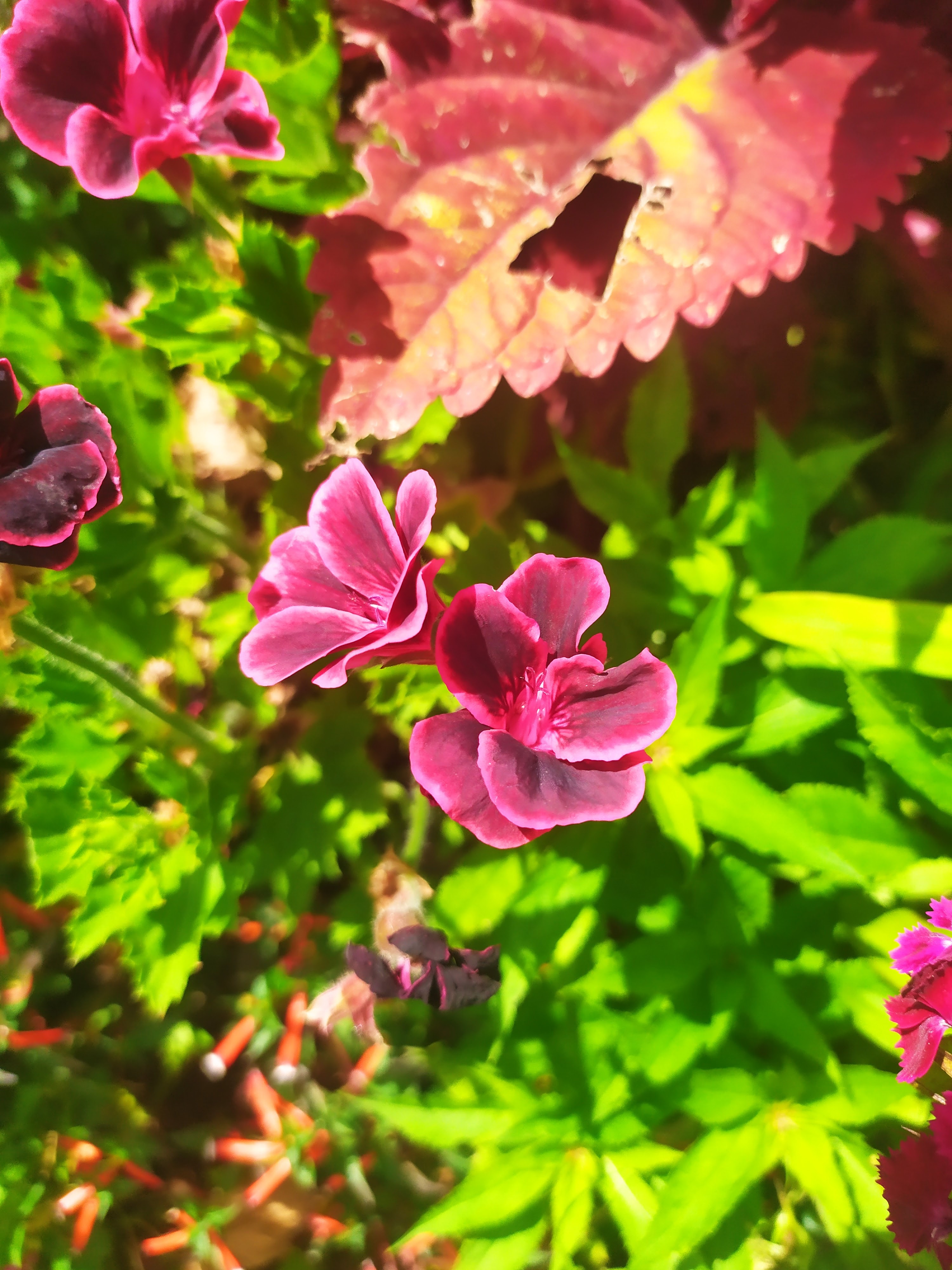 Photo n° 3 de l'avis de Christelle.E fait le 23/06/2022 à 19:09