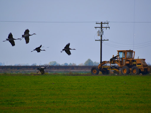 Nature Preserve «Woodbridge Ecological Reserve», reviews and photos, 7730 W Woodbridge Rd, Lodi, CA 95242, USA