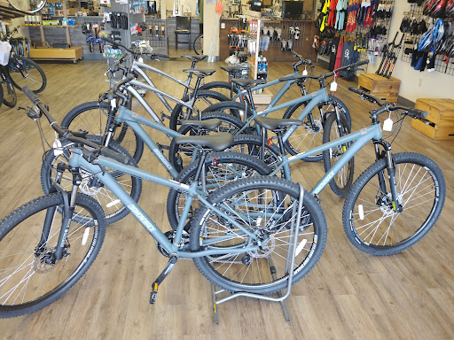 Bicycle Store «North Valley Bicycles», reviews and photos, 18409 N Cave Creek Rd, Phoenix, AZ 85032, USA